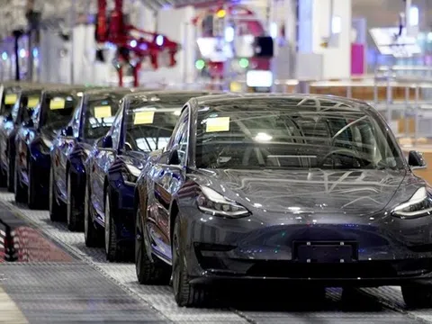 Tesla thu hồi gần nửa triệu ô tô điện vì các vấn đề an toàn