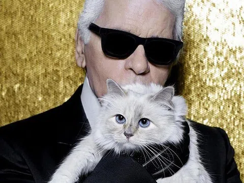 Chú mèo giàu có nhất thế giới của cố giám đốc sáng tạo Chanel sống xa hoa cỡ nào