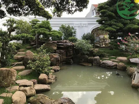 Vườn Nhật, cá koi - thú chơi tiền tỷ của nhà giàu Việt